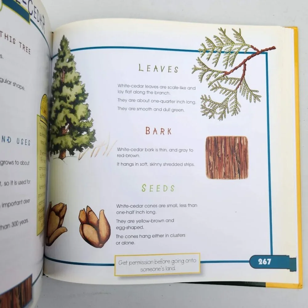 More Fun With Nature Take Along Guides Field Guide Hardcover Book Activity Craft